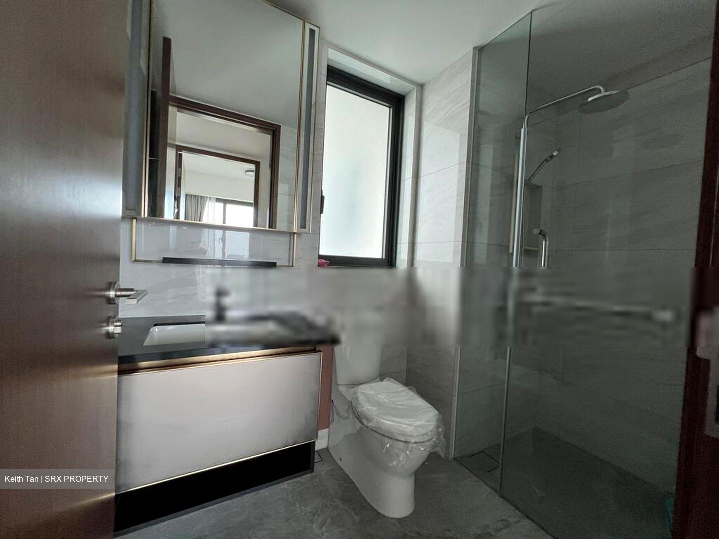 Normanton Park (D5), Apartment #414899351
